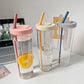 Fruit Infuser Water Bottle with Straw Cup Filter 700Ml